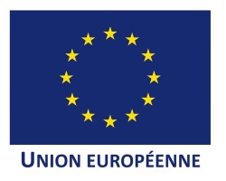 Logo-Union Europeenne