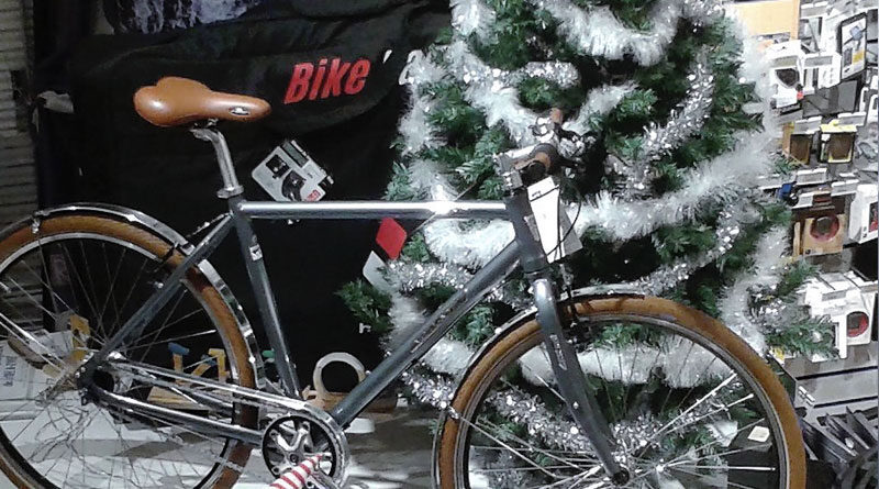 Maison_Velo_Lyon_velo-sous-le-sapin
